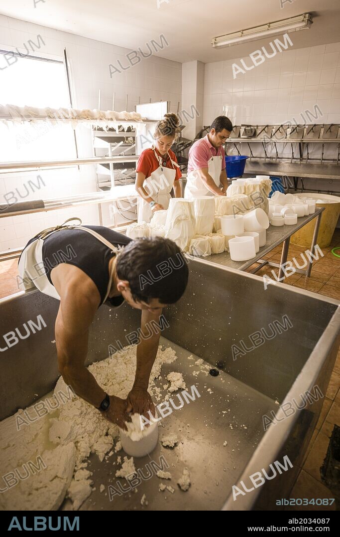 fabricacion artesanall de queso Binibeca de cabra, finca Alcaiduset, Alaior, Menorca, Islas Baleares, españa, europa.