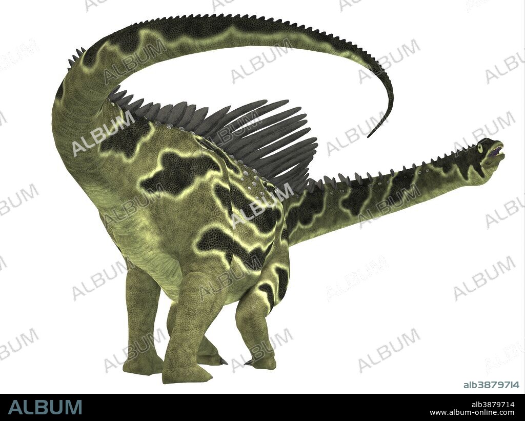 Agustinia is a herbivorous titanosaur dinosaur that lived during the Cretaceous period of South America.