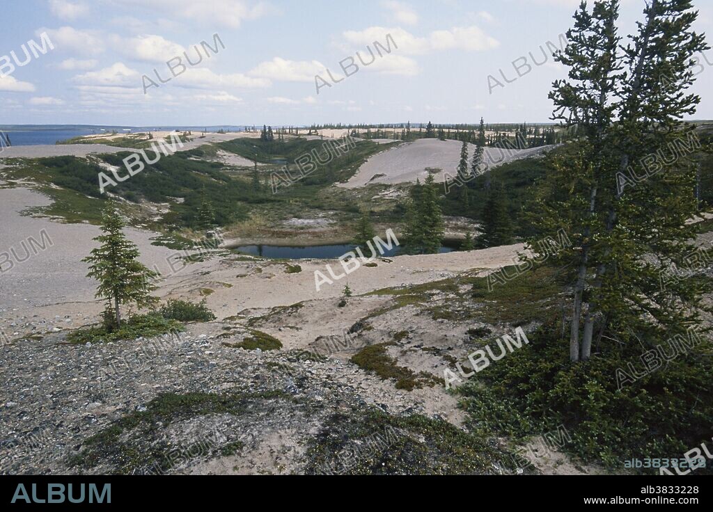 Esker, a glacial sand deposit, at Whitefish Lake, the upper Thelon River drainage, Northwest Territories, Canada.