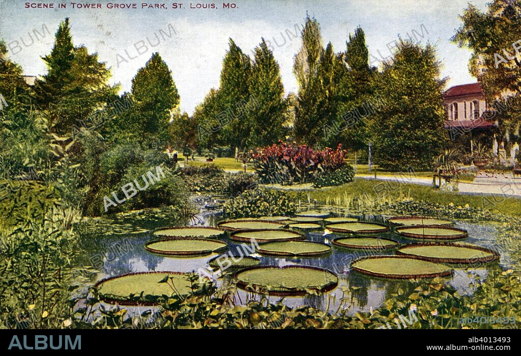 Scene in Tower Grove Park, St. Louis, Missouri, USA, 1908. Vintage postcard showing a scene in Tower Grove Park overlooking a pond with giant lily pads. The area behind the pond is landscaped and there is a structure on the far right. Tower Grove Park opened in 1875. It is laid out on land donated to the city of St Louis by British-born botanist Henry Shaw.