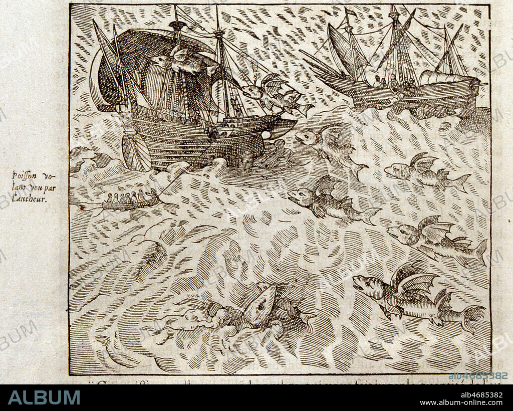 Poissons volants. Illustration tiree de l'ouvrage d'Andre THEVET (1502-1590) 'Cosmographie universelle', edition de 1575 (16e, 16eme, XVIe s.) Credit : Jean Vigne/KHARBINE-TAPABOR.