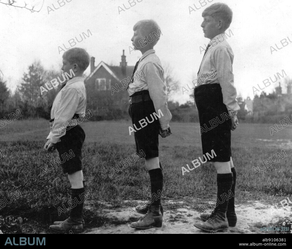 The Three Auden Brothers: Wystan, John and Bernard, 1914. W H Auden, The Life of a Poet, by Charles Osborne.