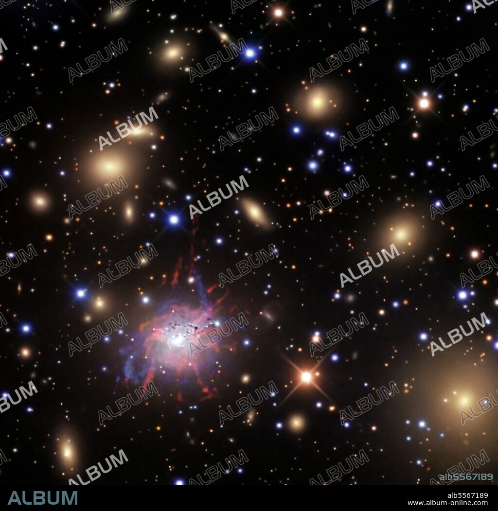 NGC 1275, also known as Perseus A, is a large elliptical galaxy with an active supermassive black hole at its center which spews plasma jets and filaments over 20,000 light years into the dust and gas surrounding the Perseus Galaxy Cluster (Abell 426). A large spiral galaxy lies directly in our line of sight and is on a collision course with the ellipical galaxy.