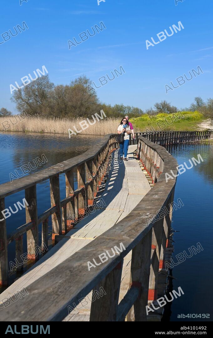 Tablas de Daimiel National Park - wetland and boardwalk, Ciudad Real province, Region of Castilla - La Mancha, Spain, Europe.