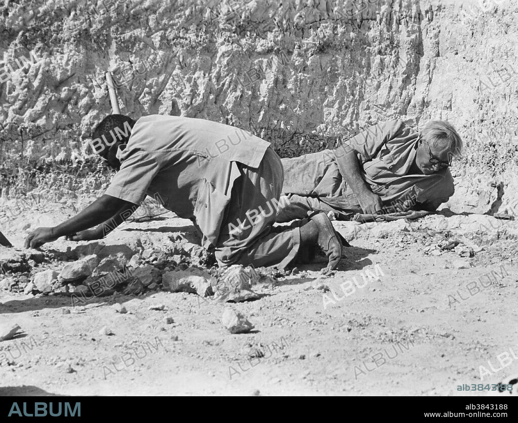 Kenyan archaeologist and anthropologist Dr. Louis Leakey (1903-1972) and an assistant at work in Olduvai Gorge, Tanzania, Africa. Leakey helped to establish the field of paleoanthropology, which is the study of fossil hominds. He was married to British anthropologist and archaeologist Mary Leakey (1913-1996).