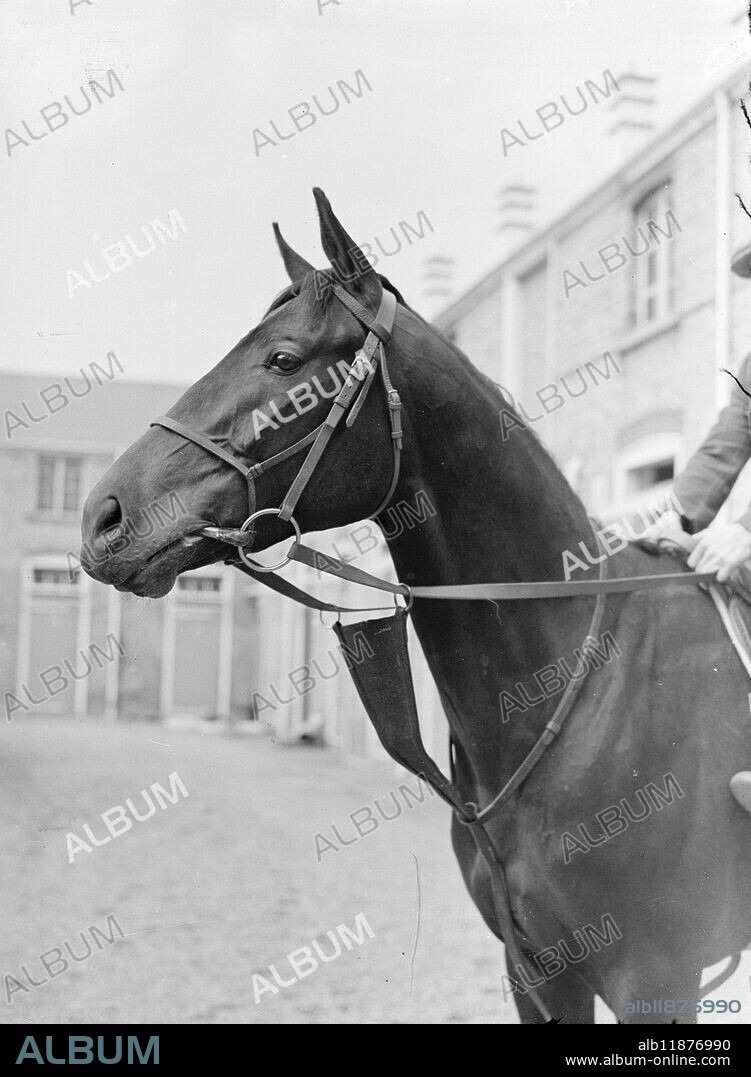 ANGLO - FRENCH THEATRICAL DERBY - ENTRY. ROYAL EMPIRE , jointly owned by the English and French theatrical magnates JACK HYLTON and M . LEON VOLTERRA , which is expected to put up a good performance in the Derby . A three - year - old of the same breeding as My Love , Last year's Derby winner , he is particularly fancied by Jack Hylton , who said the other night '' There's only one thing I want now , and that is to win the Derby . ''. Trained at Newmarket by F . Armstrong Royal Empire will be ridden by Michael Beary . The theatrical partners have also entered Lord Drake , whose brother , Royal Drake , was second to My Love last year . 1 June 1949.