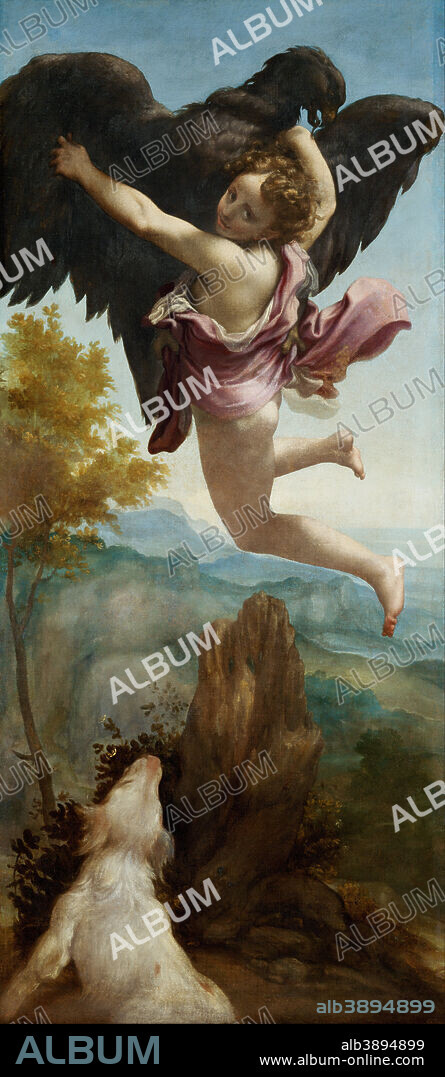 CORREGGIO. The Abduction of Ganymede. Date/Period: 1520 - 1540. Painting. Oil on canvas. Height: 1,635 mm (64.37 in); Width: 720 mm (28.34 in).
