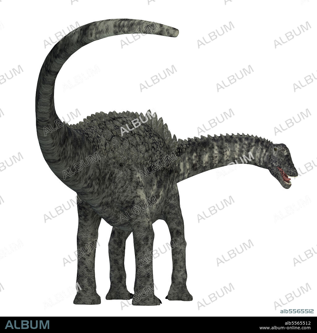 Ampelosaurus dinosaur, rear view. Ampelosaurus was a herbivorous sauropod dinosaur that lived in Europe during the Cretaceous Period.