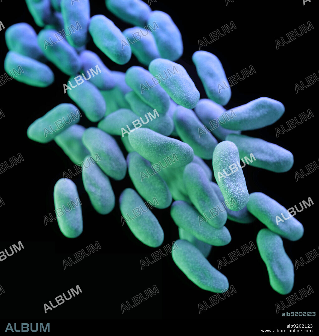 Carbapenem-Resistant Enterobacteriaceae, 3D Model