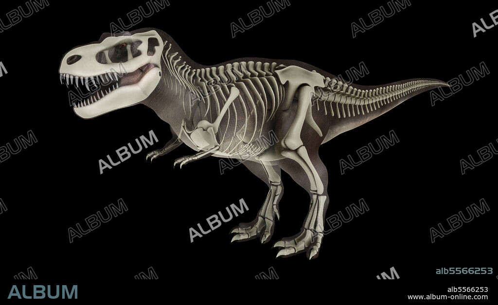 3D illustration of Tyrannosaurus rex, with skeletal system overlay.