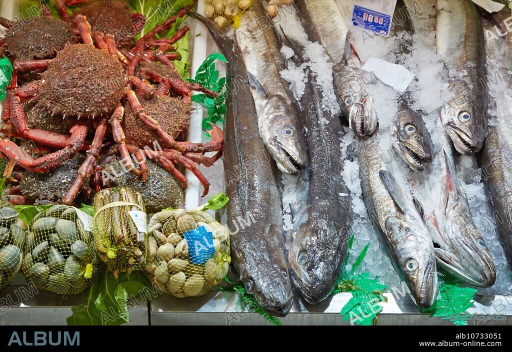 Hake, Fish. South Market, Gijón, Asturias, Spain.