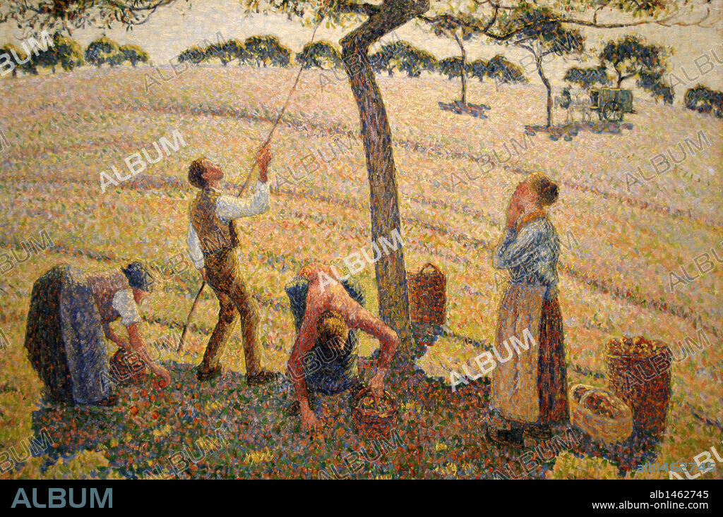 ARTE SIGLO XIX. FRANCIA. CAMILLE PISSARRO (1830-1903). Pintor francés fundador del impresionismo. "RECOLECCION DE MANZANAS EN ERAGNY-SUR-EPTE" (1888). Oleo sobre lienzo. Museo de Arte de Dallas (Dallas Museum of Art). Estado de Texas. Estados Unidos.