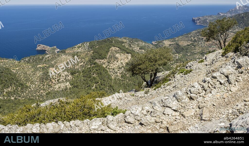 Cingles de son Rullan, Deia, Mallorca, Balearic Islands, Spain.