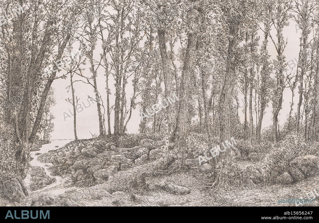 Forest view with a stream on the left, print maker: Alfred Elsen, (signed by artist), 1879, paper, etching, height 185 mm × width 281 mm, print.
