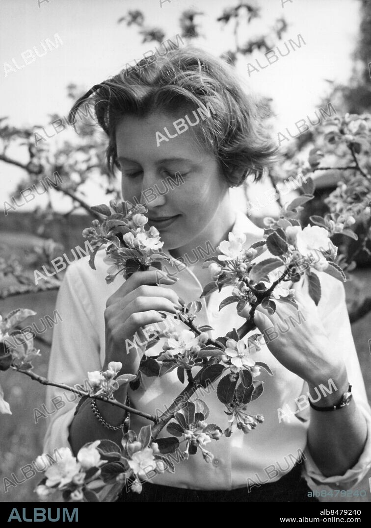 1956.. Orig. bildtext... HOS GÖSTA KNUTSSON I LINDESBERG Fru Erna Knutsson Anm. Dofter Njuta Lukta Publ i RiR 26/56 CD457 persons: ERNA KNUTSSON sites: SVERIGE.