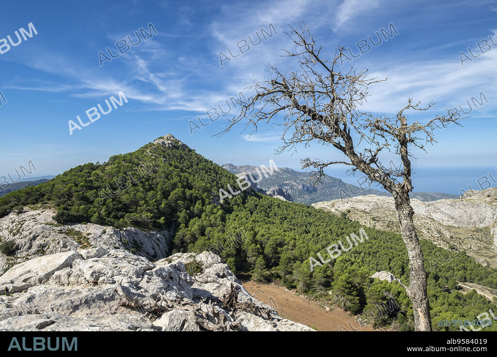 escusion de los tres miles, Puig lOfre, Paraje natural de la Serra de Tramuntana, Mallorca, balearic islands, Spain.