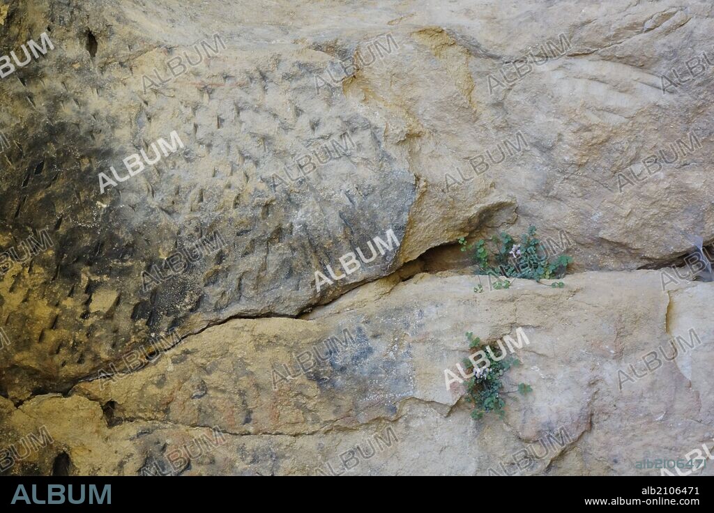 CUEVA DE SIETE ALTARES, ANTIGUA ERMITA O SANTUARIO DE EREMITAS VISIGODOS (S. VII), CON RESTOS DE PINTURAS RUPESTRES. PROYECTO SIGAREP II.