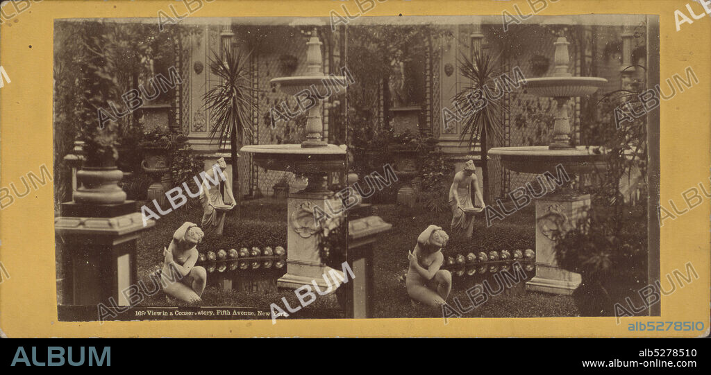 View in a Conservatory, Fifth Avenue, N.Y., 1860?-1925, New York (State), New York (N.Y.), New York, Manhattan (New York, N.Y.).