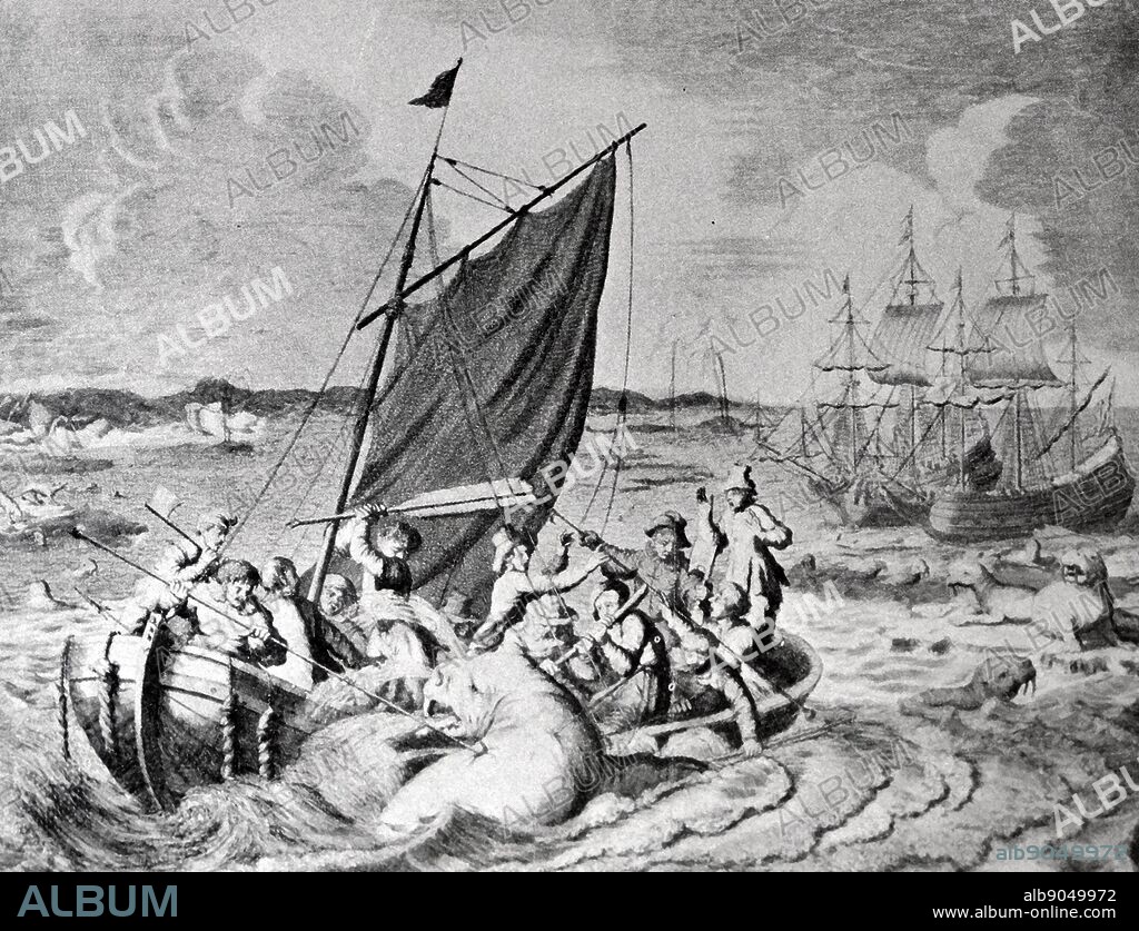 walrus hunt nova Zembla 1596. Willem Barentsz (William Barents or Barentz) (c. 1550 20 June 1597) Dutch navigator, cartographer, and Arctic explorer. He went on three expeditions to the far north in search for a Northeast passage. During his third expedition, the crew was stranded on Nova Zembla for almost a year. Barentsz died on the return voyage in 1597. In the 19th century, the Barents Sea was named after him.