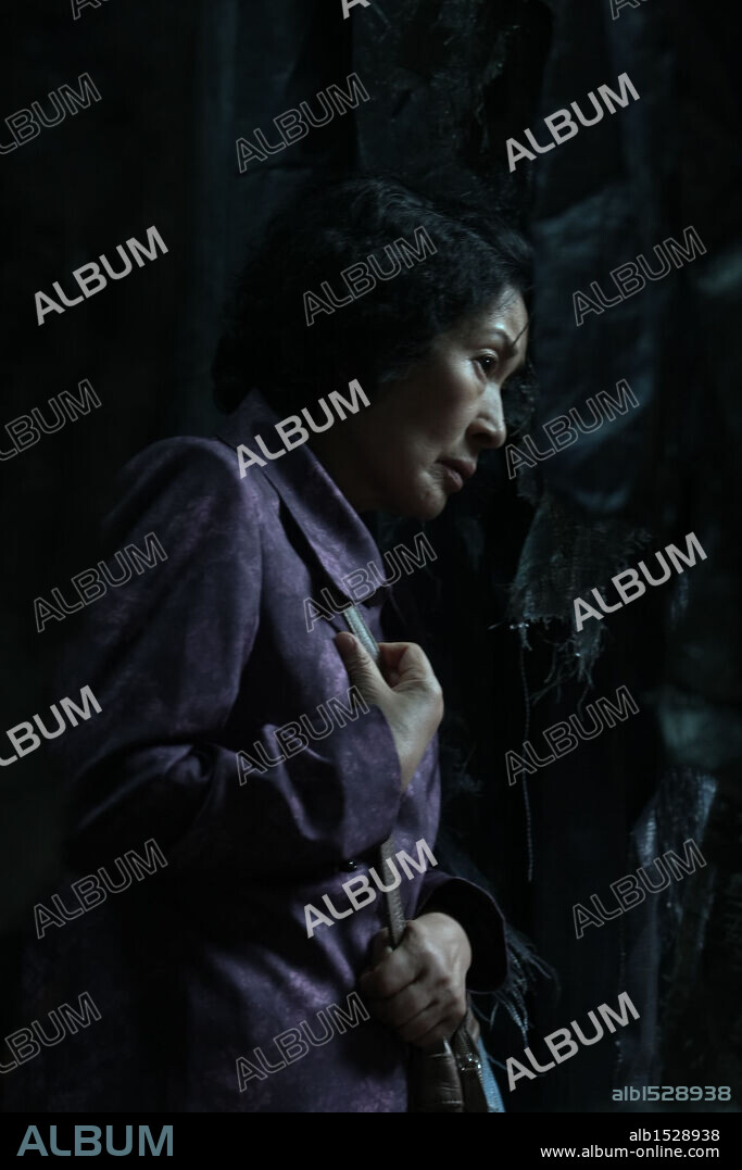 KIM HYE-JA in MOTHER, 2009 (MADEO), directed by BONG JOON HO. Copyright CJ ENTERTAINMENT.