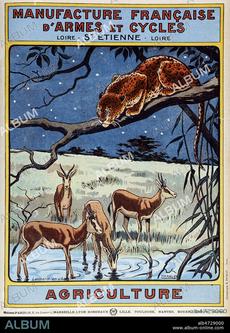 Leopard a l'affut de gazelles, dans la savane . Couverture du catalogue Manufrance consacre a l'agriculture, illustree par P. MAHLER vers 1920. Credit : Collection KHARBINE-TAPABOR.