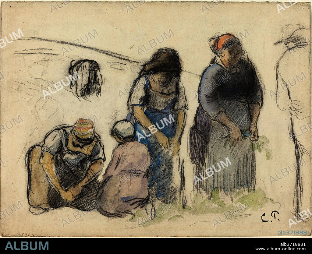 CAMILLE PISSARRO. Pea Harvesters [recto]. Dated: c. 1880. Dimensions: overall: 23.9 x 31.7 cm (9 7/16 x 12 1/2 in.). Medium: charcoal and watercolor on heavy wove paper.
