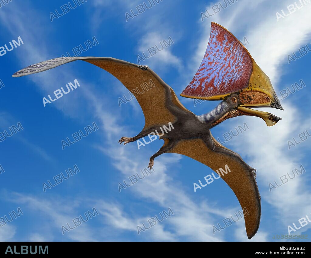 Tupandactylus imperator, a pterosaur from the Early Cretaceous Crato Formation of Brazil.