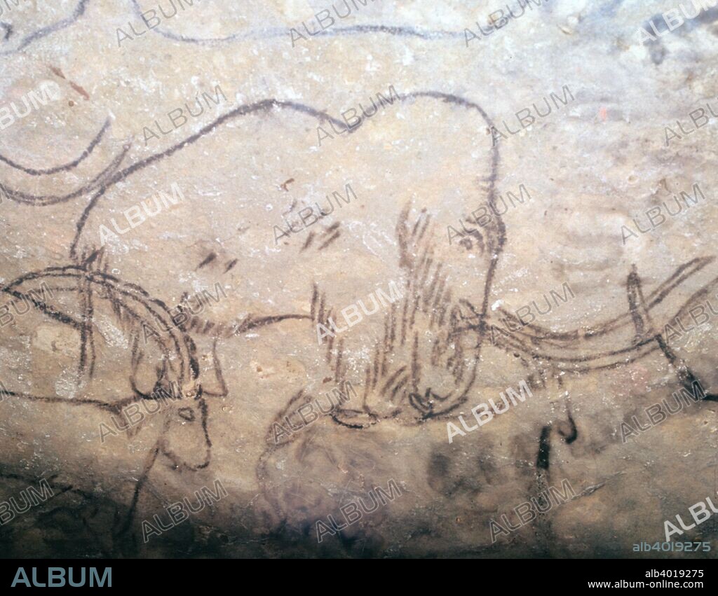 Neolithic cave-painting of mammoth and ibexes, from the ceiling of the Rouffignac Cave in Dordogne, France.
