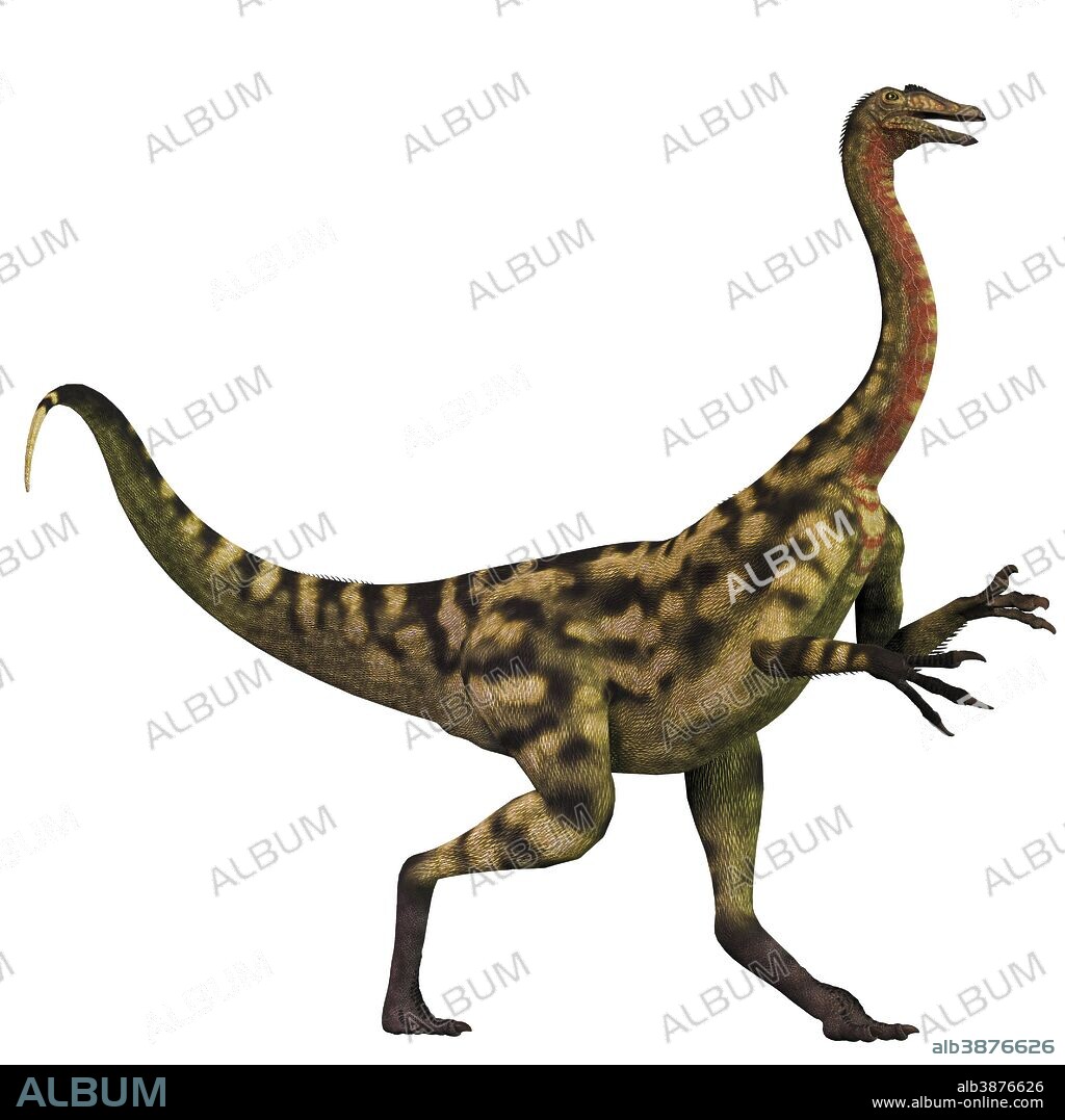 Deinocheirus was an ostrich dinosaur that lived during the Late Cretaceous Period of Mongolia.