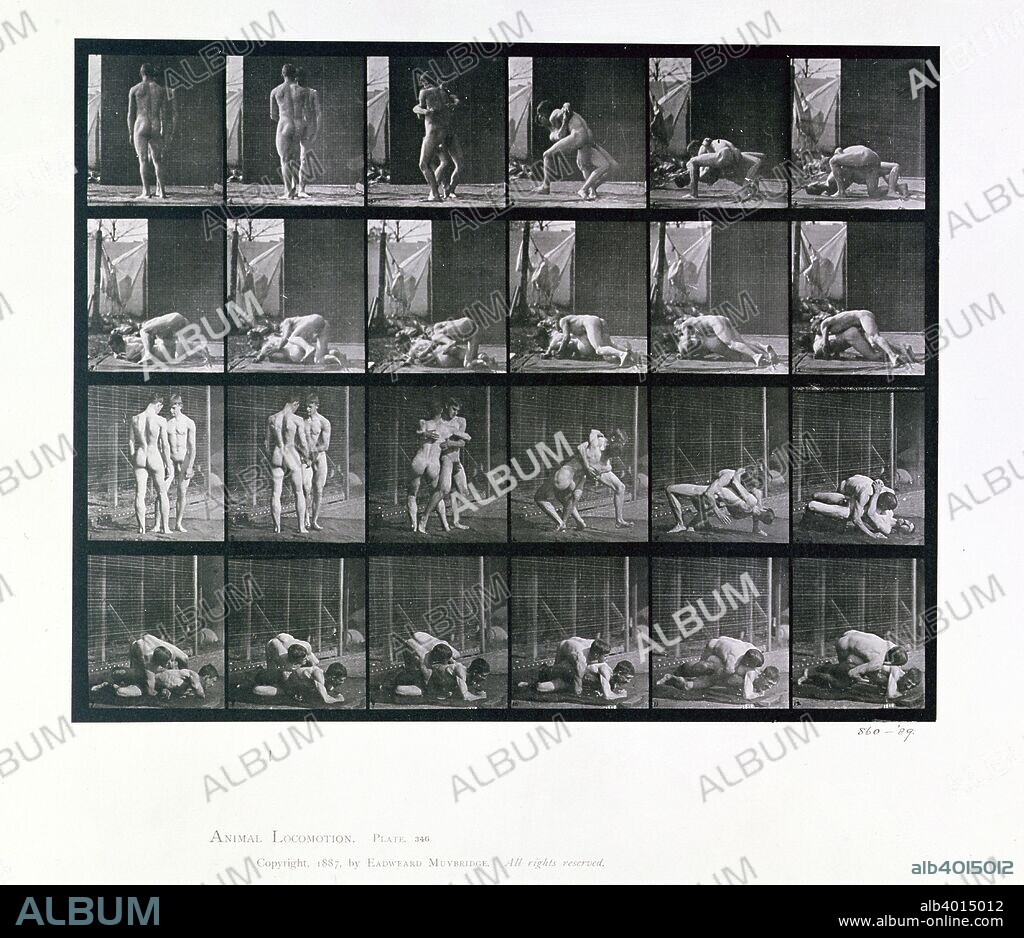 Two men wrestling, 1887. Eadweard J Muybridge (1830-1904) was the first photographer to carry out the analysis of movement by sequence photography, an important stage in the invention of cinematography. Plate 346 from Animal Locomotion by Eadweard Muybridge.