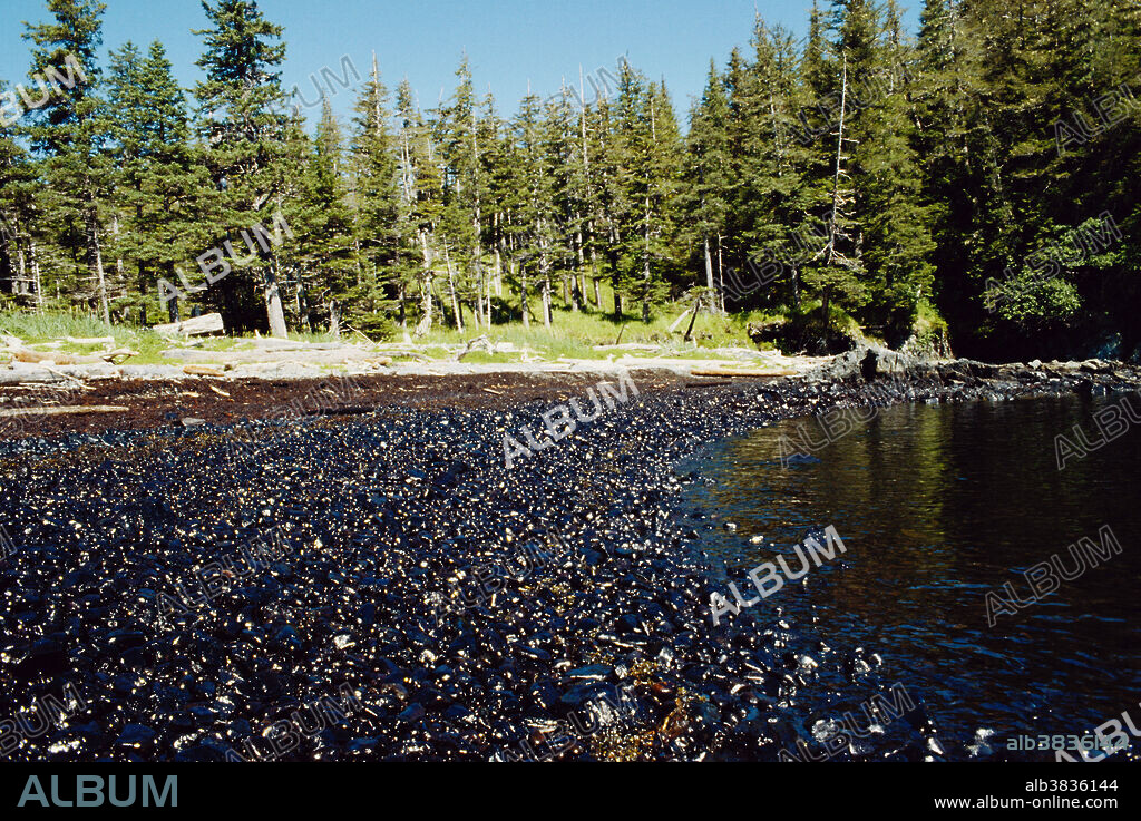 View of oily rocks on Perry Island, Prince William Sound, Alaska, after the Exxon-Valdez oil spill.