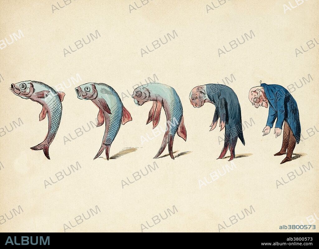 Evolution of Fish into Old Man, 1870s
