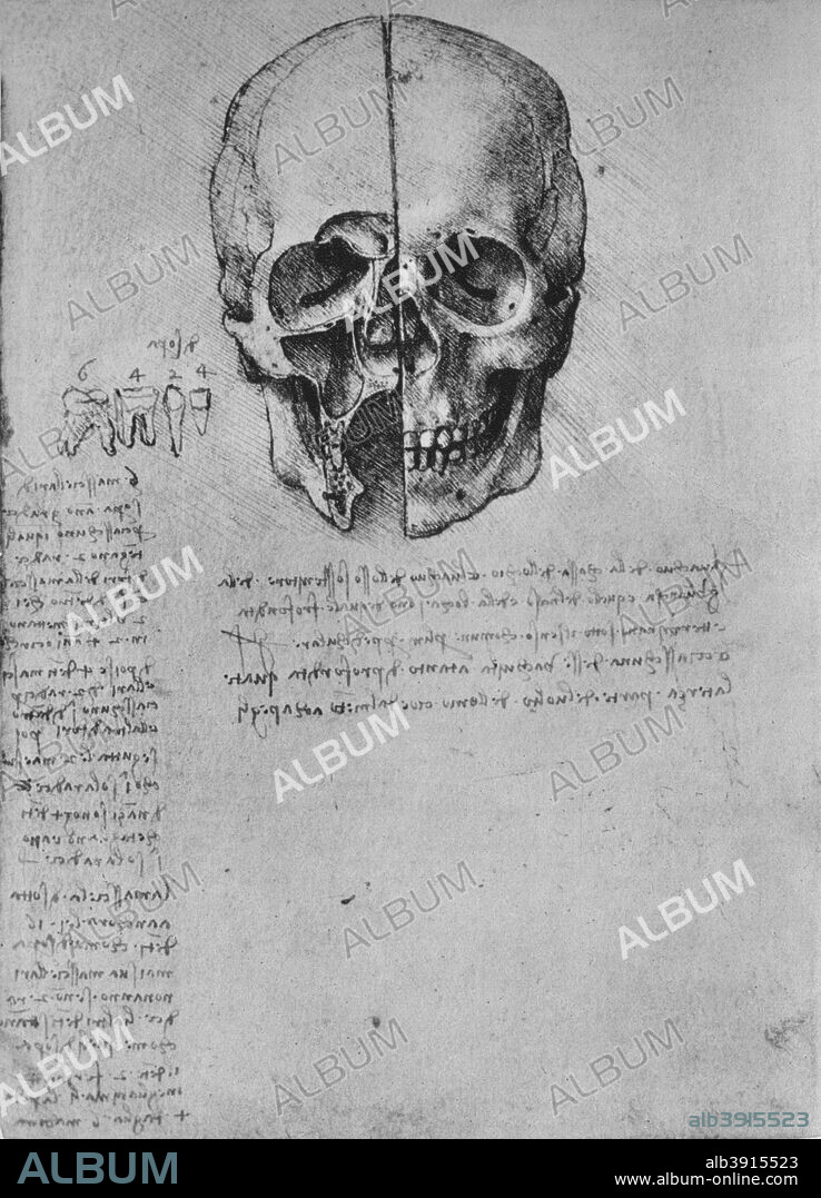 'Drawing of Two Halves of a Skull', c1480 (1945). From The Drawings of Leonardo da Vinci. [Reynal & Hitchcock, New York, 1945].