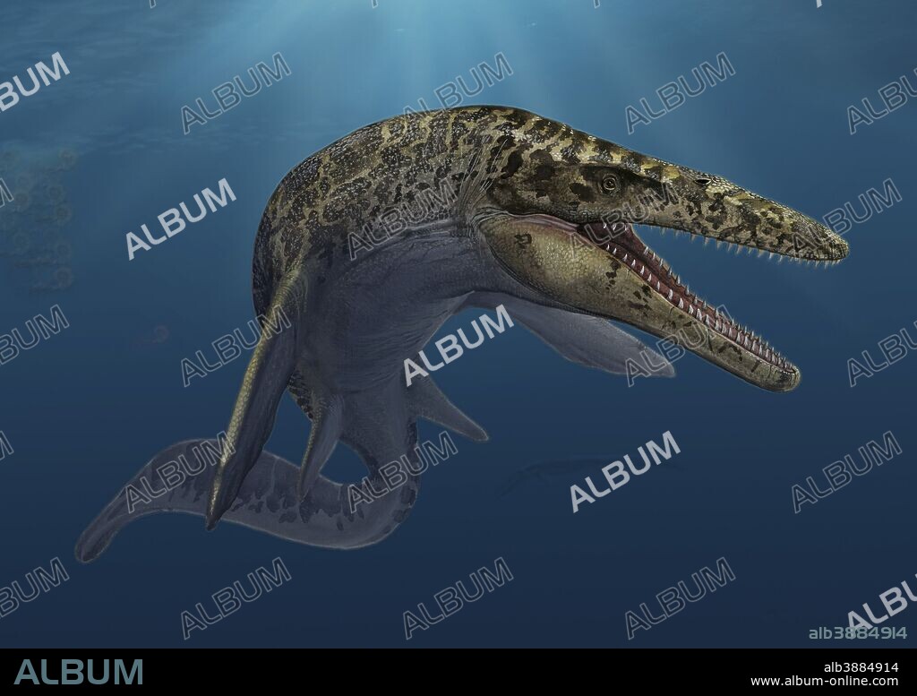 Mosasaurus hoffmanni swimming in prehistoric waters.