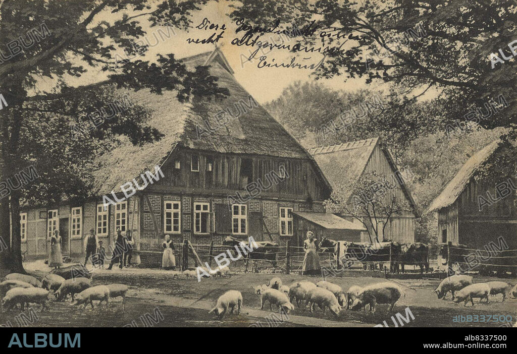 Nieders§chsischer Bauernhof mit Schweinen in der Lºneburger Heide, Niedersachsen, Deutschland, Ansicht um ca 1910, digitale Reproduktion einer historischen Postkarte, public domain, aus der damaligen Zeit, genaues Datum unbekannt.