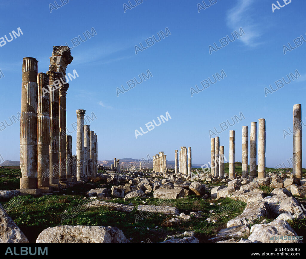 ARTE ROMANO. SIRIA. APAMEA (AFAMIA). Ciudad romana que pasó a formar parte del Imperio Romano a partir del año 64 a. C. Vista panorámica del CARDO MAXIMUS, principal arteria de la ciudad. Toda la avenida se encuentra columnada con fustes estriados.