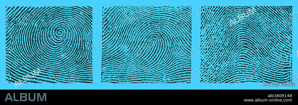 A composite of fingerprint images taken from Edward Richard Henry's Classification and Uses of Fingerprints. The Henry Classification System divides fingerprint records into groupings based on pattern types. The system makes it possible to search large numbers of fingerprint records by classifying the prints according to whether they have an whorl (left), loop (middle) or arch (right). The Henry Classification System is a long-standing method by which fingerprints are sorted by physiological characteristics for one-to-many searching. Developed by Sir Edward Henry in the late 19th century for criminal investigations in British India, it was the basis of modern day AFIS classification methods up until the 1990s. In recent years, the Henry Classification System has generally been replaced by ridge flow classification approaches.