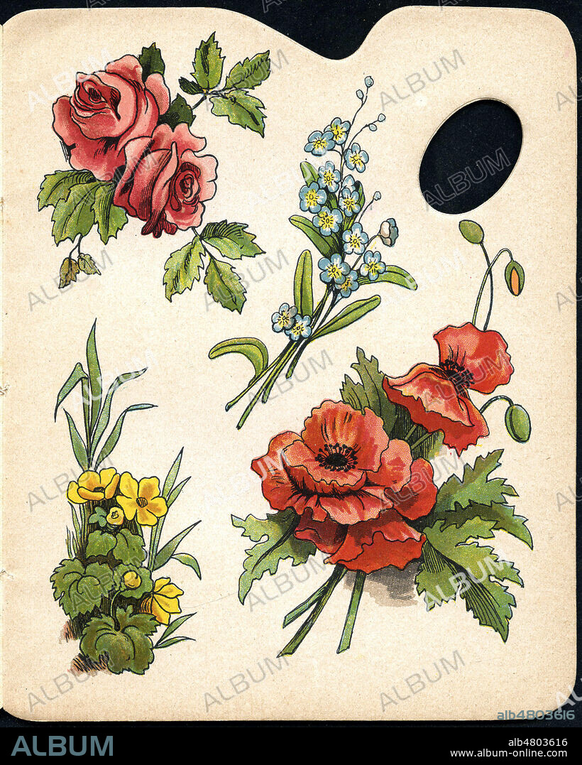 Diverses fleurs (roses, coquelicot, bleuet, boutons d'or). Illustration anonyme vers 1890 pour une page de La Palette de Bebe. Credit : Collection Jonas/Kharbine-Tapabor.