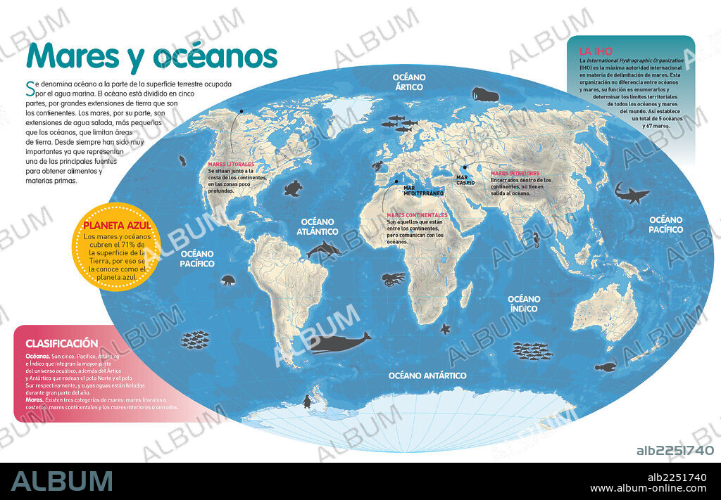 Mares y océanos. Infografía sobre la clasificación del agua salada terrestre en mares (y sus categorías) y océanos.