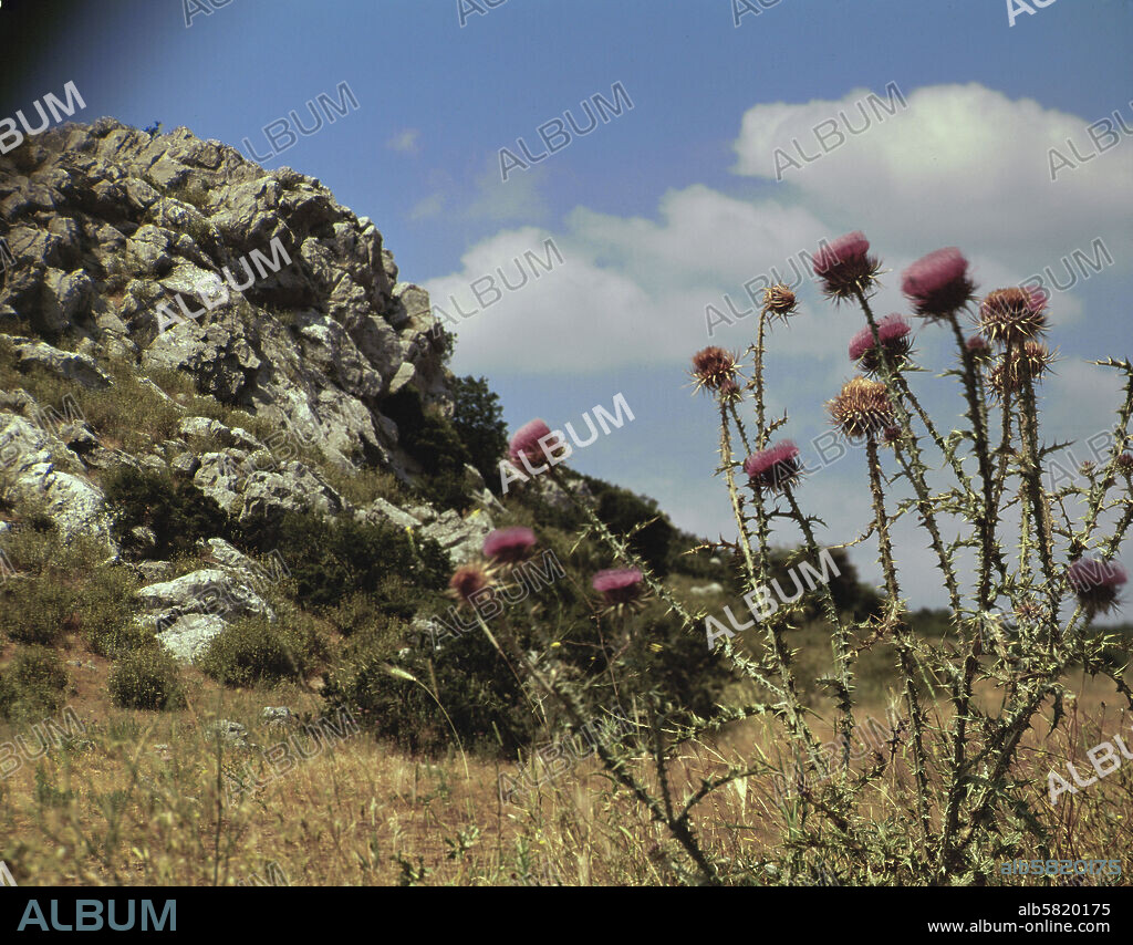 Landscape near Thebes, Boeotia. The Sphinx sancturay was here.