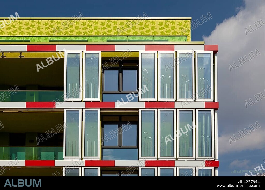 Microalgae on the façade of an energy-plus house, International Building Exhibition, IBA Hamburg, Algenhaus, Algae House, Wilhelmsburg, Hamburg, Hamburg, Germany, Europe.