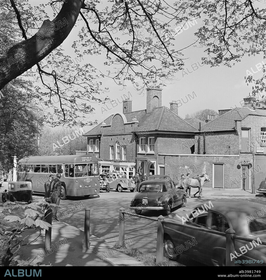 The Old Bull And Bush public house, North End Way, Hampstead, London, 1962-1964. A busy street scene in front of the Old Bull and Bush with cars parked outside, the number 210 bus waiting while cars turn, people standing chatting and others leading horses across the road.