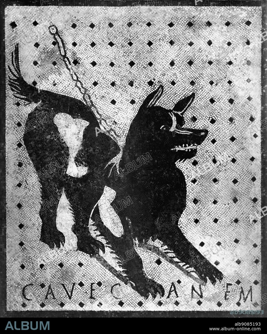 This mosaic is at the entrance to The House of the Tragic Poet , it has the inscription Cave canem meaning Beware of the dog , Pompeii , Italy.