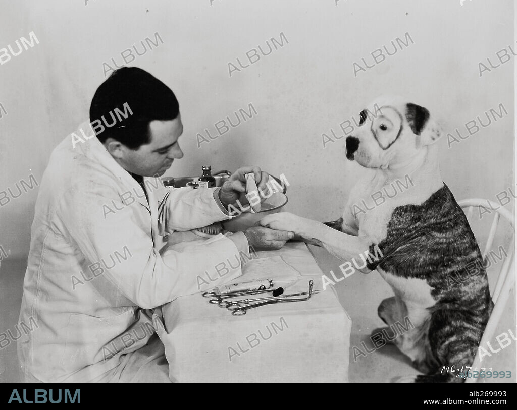 OUR GANG, 1922, directed by ROBERT F. MCGOWAN. Copyright HAL ROACH.