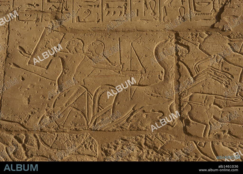 ARTE EGIPCIO. EGIPTO. Relieves del Templo mortuorio de Ramses II (RAMESERUM). Imperio Nuevo. XIX Dinastía. Representación del ASEDIO DE LOS EGIPCIOS DE DAPUR (CIUDAD SIRIA). " Un conductor de un carro de guerra enemigo, se protege de las flechas egipcias con su escudo". Necrópolis Tebanas. Medinet-Habu. Egipto.