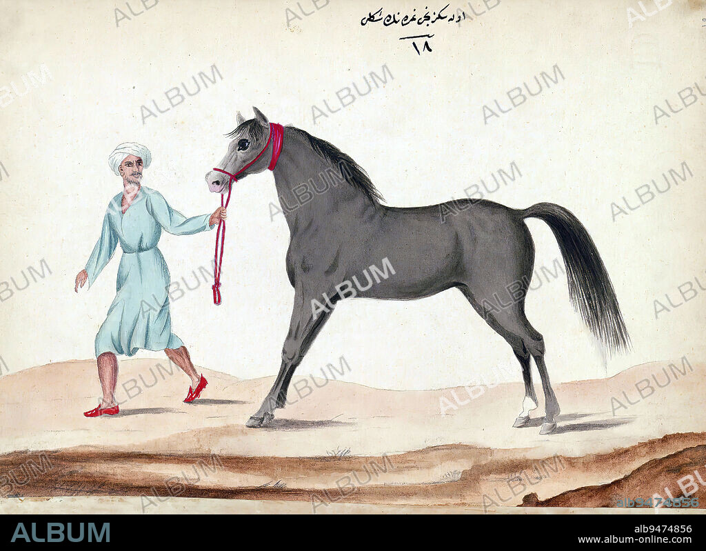 Book on horses, A horse with the swelling of the veins on his calves, This is an illustrated Ottoman copy of a Turkish work on the training and care of warhorses (Tufat ül-frisn f avl-i uyl il-muchidn) by Amed A ayyrzde (d. 1294 AH / 1877 CE). The text was written in ruq`ah script by aker Muhammed in 1271 AH / 1854-5 CE.
