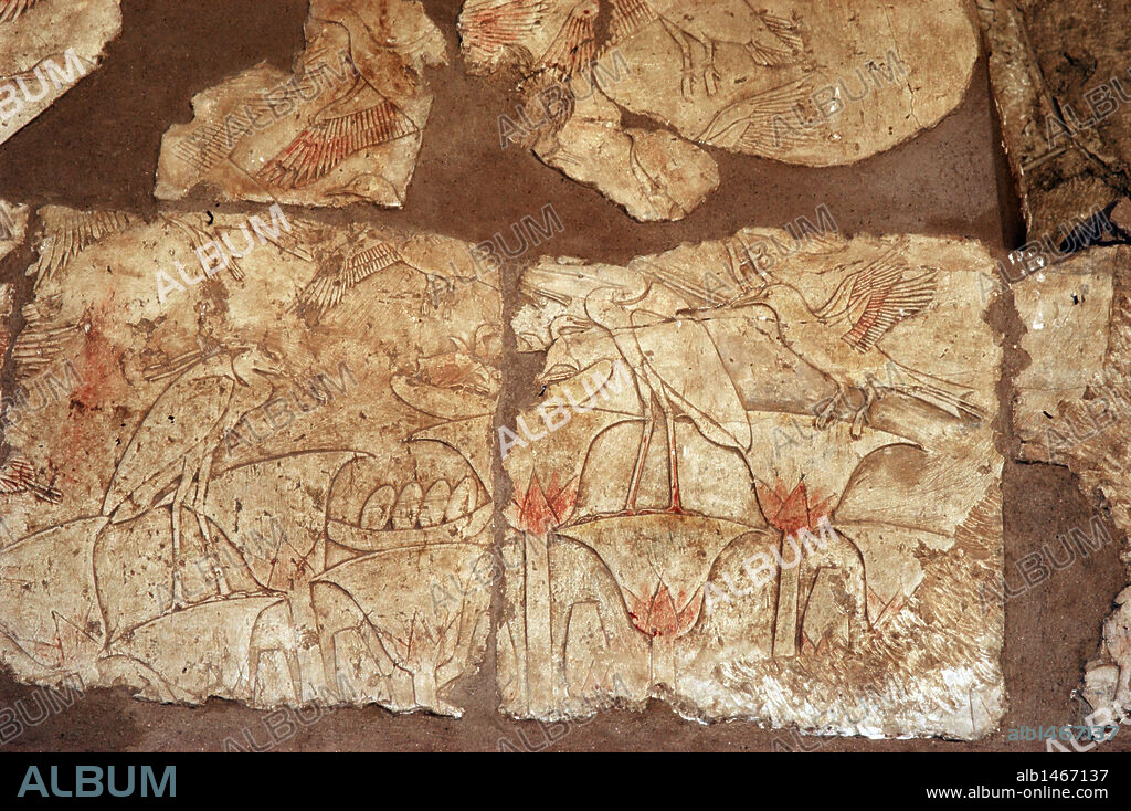 ARTE EGIPCIO. EGIPTO. Relieves con la representación de la flora y fauna de los humedales o orillas del río Nilo. Aparecen, flores de loto, grullas y aves acuáticas. Muros del Templo de Hatshepsut. XVIII Dinastía. Imperio Nuevo. Deir El-Bahari. Egipto.
