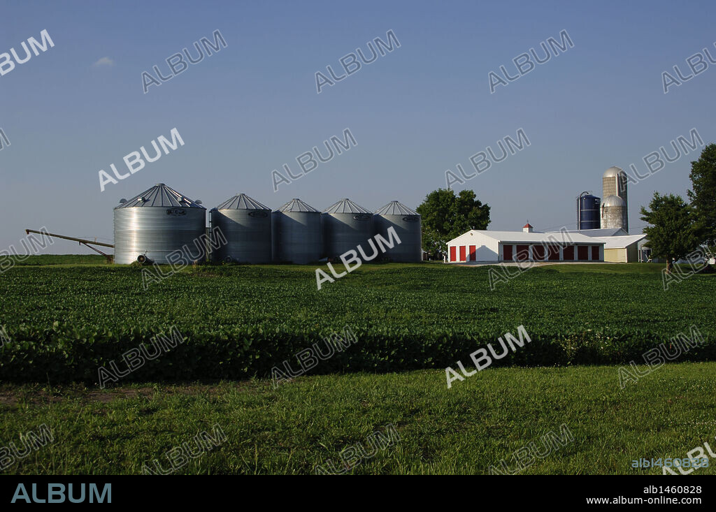 GRANJA y CAMPOS DE CULTIVO. Estado de Missouri. Estados Unidos.