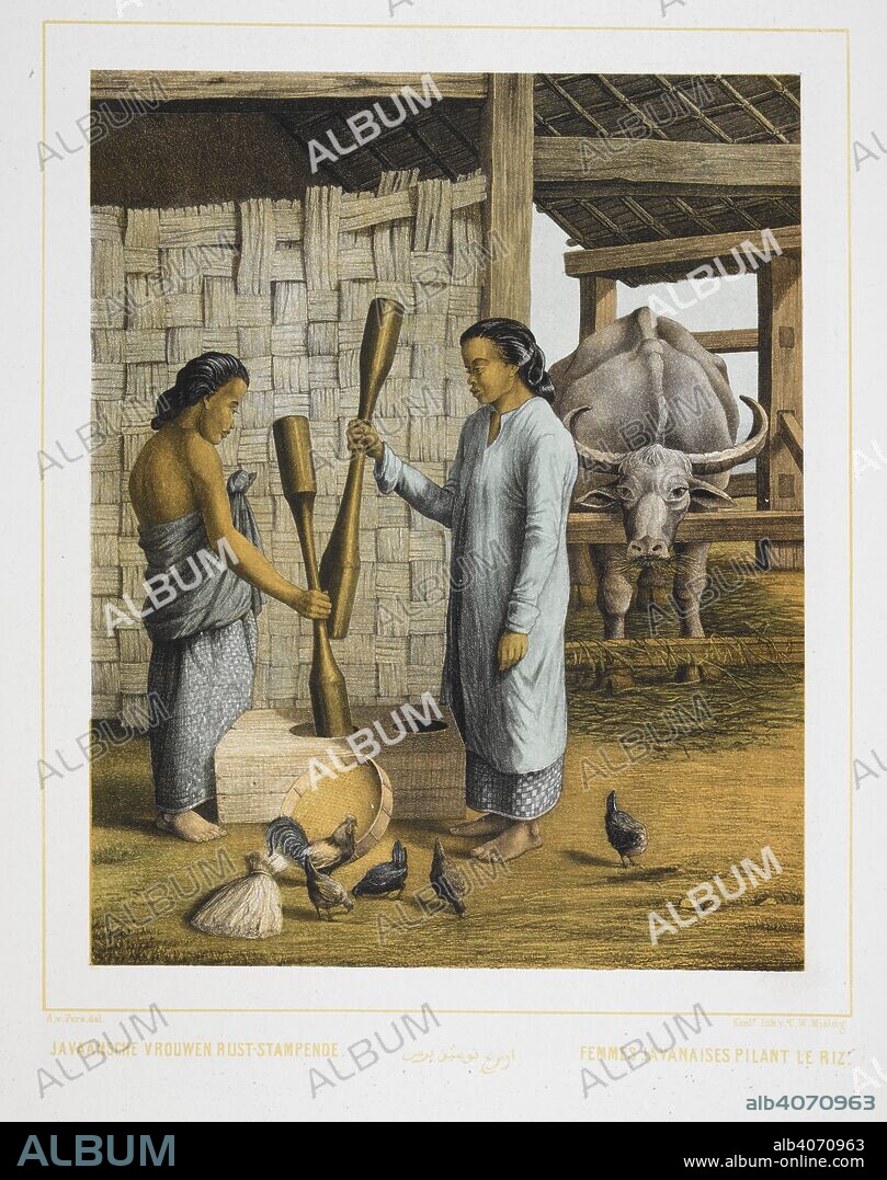 A. VAN PERS. Two women of Java, grinding rice, on a farm. Chickens and an Ox can be seen. . Nederlandsch Oost-Indischen Typen. Types Indiens Neerlandais. ... S' Gravenhage, 1854-56. Colour illustration. Source: 1781.c.23, plate 30. Language: Dutch.