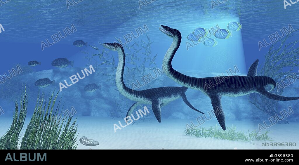 Jurassic seas were full of life such as the Plesiosaurus dinosaur which was a carnivorve feeding on fish prey.